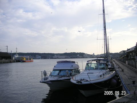 s_pict0001.jpg